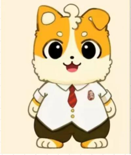 博文健体之星—崇小实运营团队