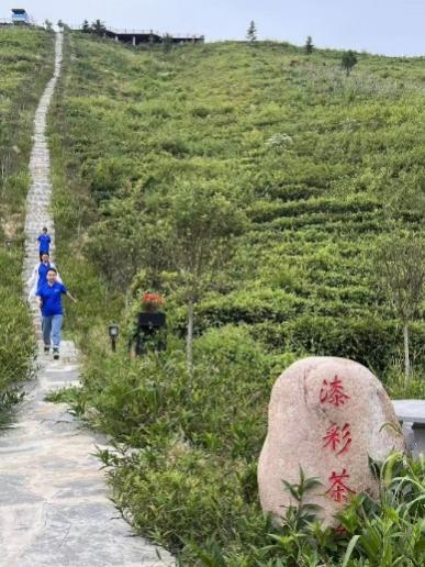 力学笃行之星—少年梦行团队