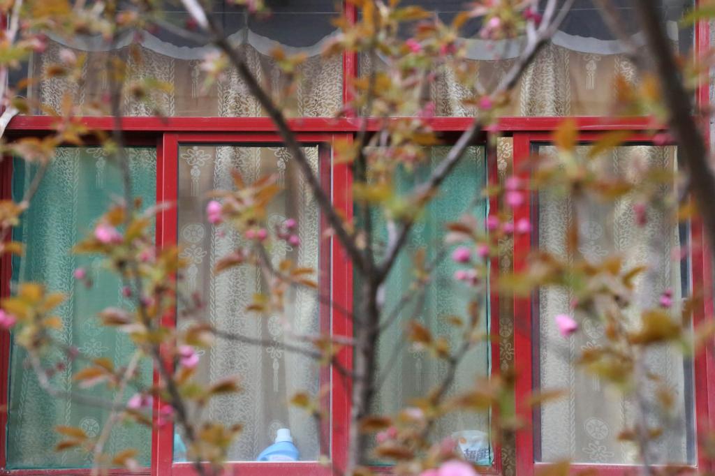 崇实书院教工党支部召开组织生活会 开展集体学习研讨